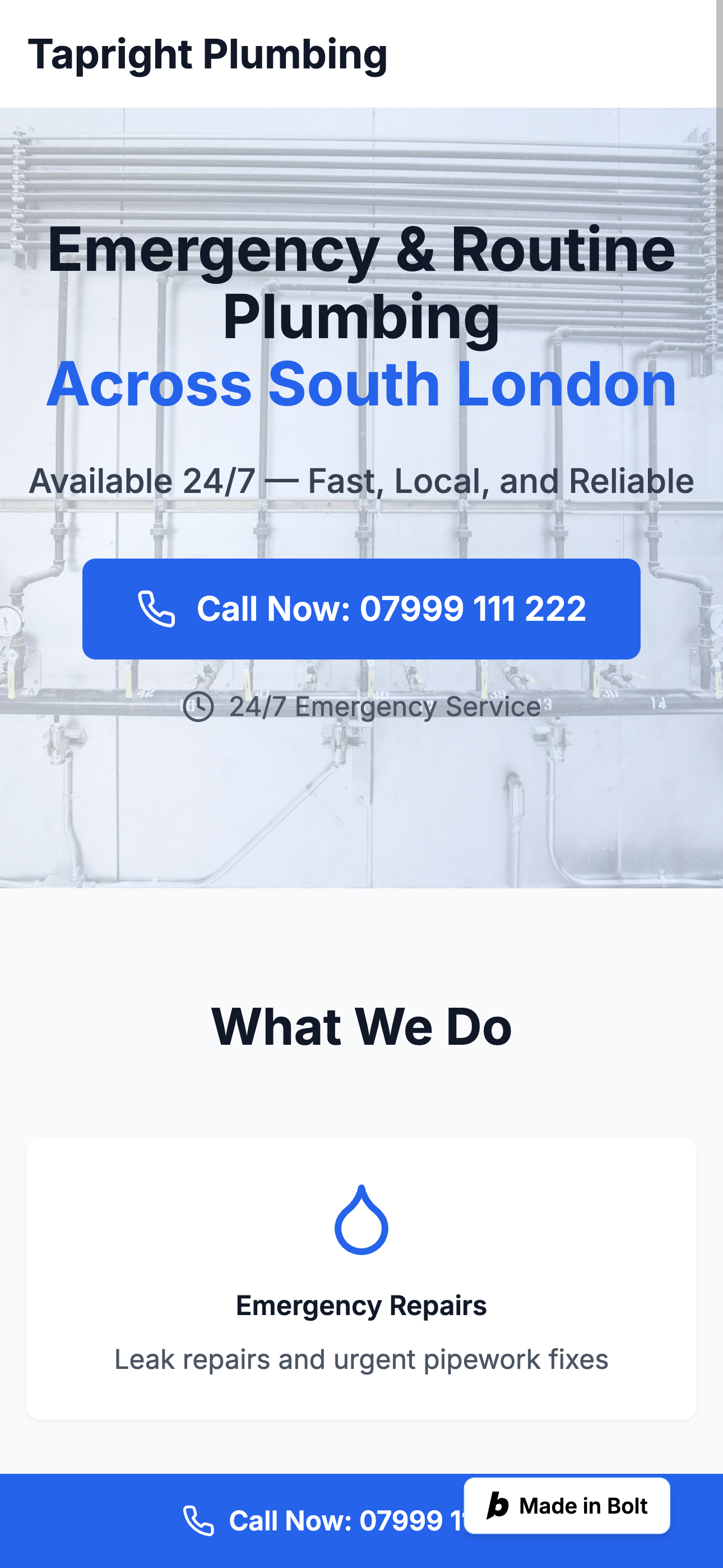 Tapright Plumbing website preview